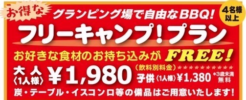 フリープラン大人1980円